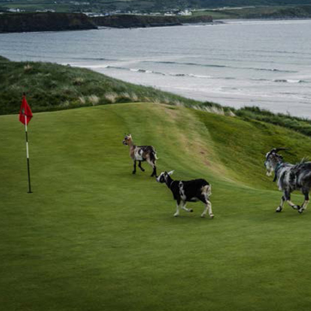 Ireland