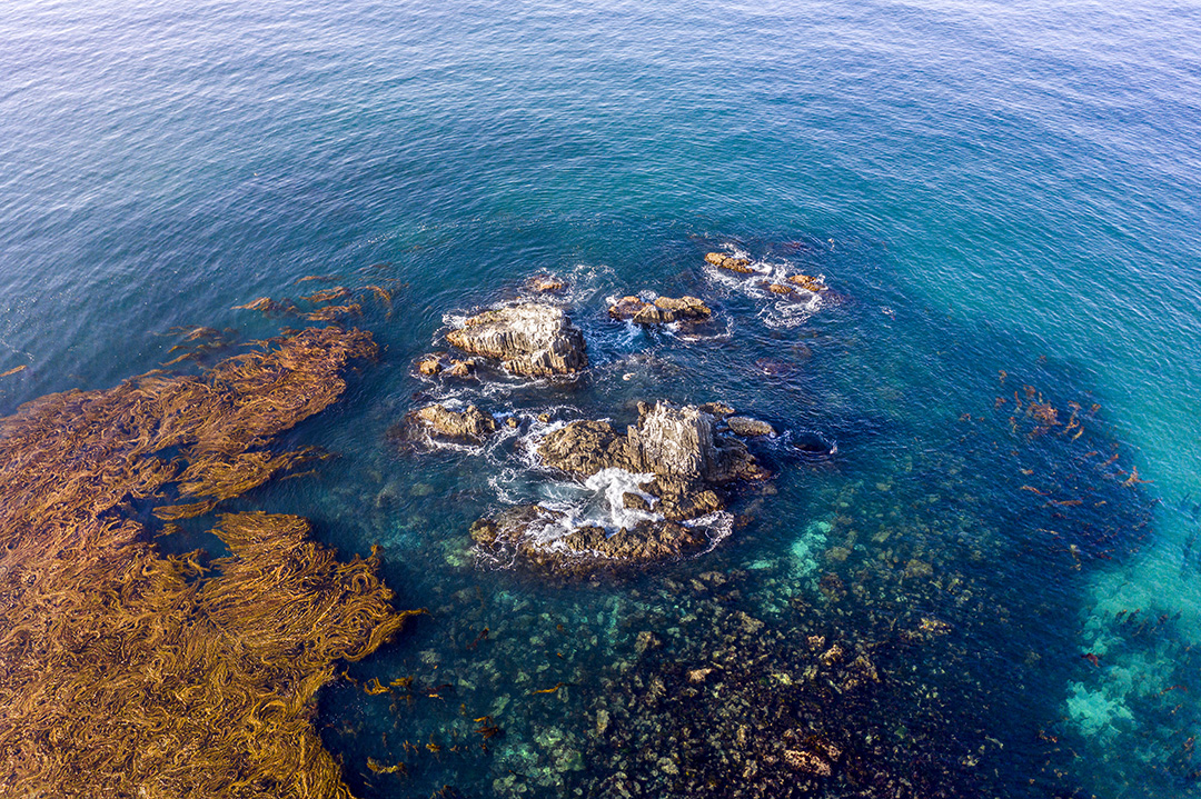 Laguna Beach – Winspire Experience Agency